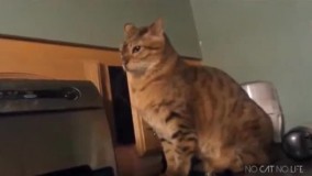 تو حال خودش بود که ناگهان...