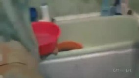 درو ببند بی ادب