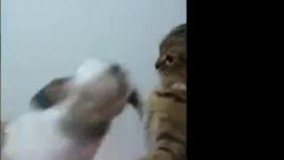 داره واسه مسابقات اماده میشه