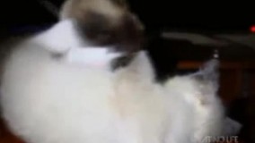 عه!این چرا افتاد؟