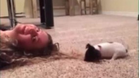 کندی موهاشو ول کن بابا.بازیش گرفته