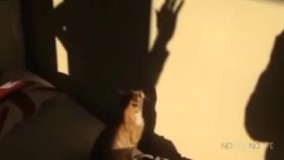 سایه بازی اخ جون