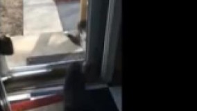 از پشت در هم با هم دعوا دارن.اینا دیگه کین بابا