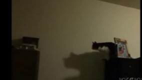 نشونه گیریش ضعیفه بیچاره