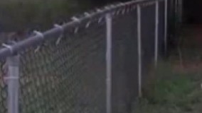 سومی اخر خندس