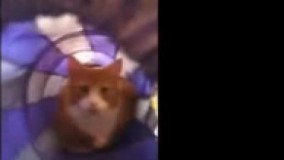 خیلی حرف زدی