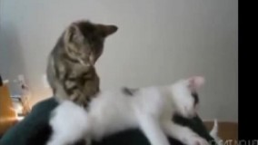 اخییییییییییییییش ماساژدوست دارم