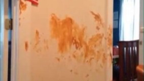 به نظرتون اینا چیه مالیدن درو دیوار خونه؟