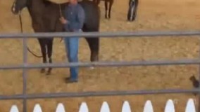 منم اسب سواری میخوام خوب چیه؟