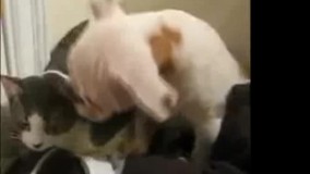 نکن دیگه بچه پرو چن دفعه باید بگم اخه؟