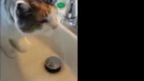 اخییییییییییش تشنم بودا