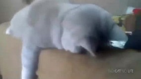 واااااااای این خوردنی رو نگاه کن اخه