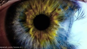 تشخیص زودهنگام ضربه ی مغزی با برنامه ی Brightlamp