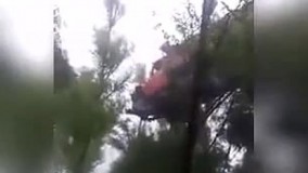 کامیون بالای درخت :))))