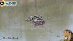 پیاده شین رسیدیم