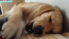 اذیت نکن دیگه 