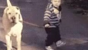 همینجا واستا آب بازی کنم الان میام 