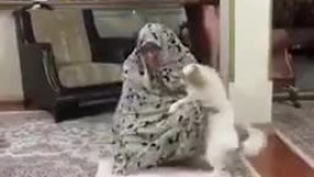 سگ بازیگوشی که موقع نماز خوندن هوس بازی کرده ????