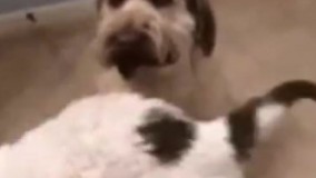 منو دوست داشته باش دیگه