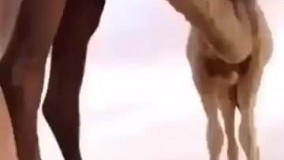 خب دیگه عکستو گرفتی برو دیگه