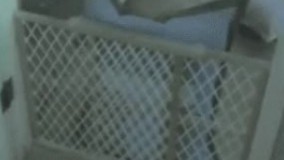 از گودزیلاهای دهه ی نود????????????????