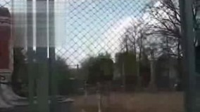 یه میکس زیبا از آهنگای خوانندگان روی حیوانات خخ