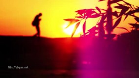 سوی شهر ما شهید آردند