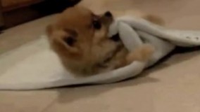 وقتی به یه پسر میگی پاشو بریم خرید ????????