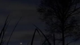 ویدیوی اخیرا منتشر شده ناسا از عظمت جهان، که در موردش نوشته بود:  اگر در مشاهده این ویدیو دچار بحران وجودی نشدید، از عناصر قوی تری ساخته شده اید.