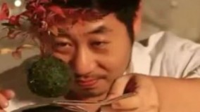 ژاپنی ها گلدان معلق ساختند!