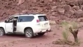 روش تهیه هیزم با ماشین