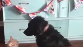 دیگه دوستیم باشه؟ ????????????