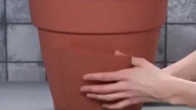 پرورش و برداشت سیب زمینی درخانه