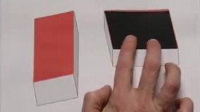 با مغزی تا این اندازه خطاکار هیچگاه افراد را قضاوت نکنیم