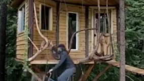 آسانسور جدید ولی کم ظرفیت