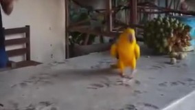 من تو عید فطر