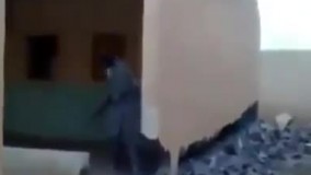 اشتباه فاحش در کار