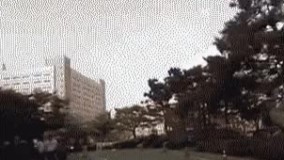 معلومه بیمه پول خوبی میده 