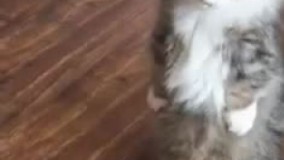 دستاش رو ببین