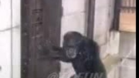 مردا وقتی دستشویی دارن????????