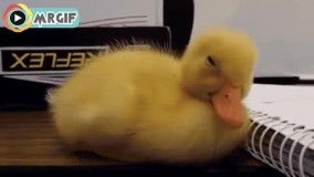 وقتی میخوام کتابمو باز کنم درس بخونم 