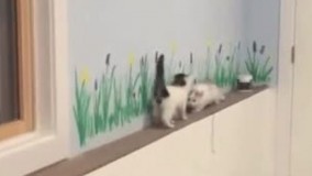 فکر کرد اونجا دیگه گیرش انداخته 