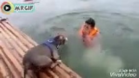 میخواد نجاتش بده