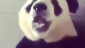 وقتی دارم غذا میخورم و یدفعه یاد گرفتاریهام می افتم 