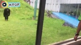 وقتی یک شنگول مثل خودت پیدا میکنی 