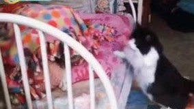 مرض داری مگه