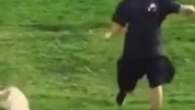 لنت ترمزهای عقبش مشکل داره 