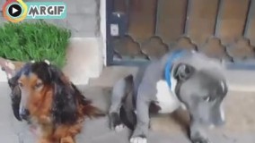 عکس العملشون خخخخ