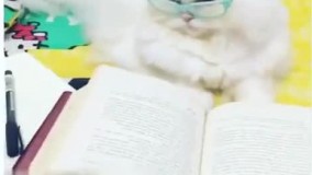 تفاوت درس خوندن پسرا و دخترا شب امتحان