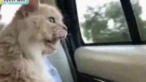 وقتی برای اولین بار میری خارج از کشور